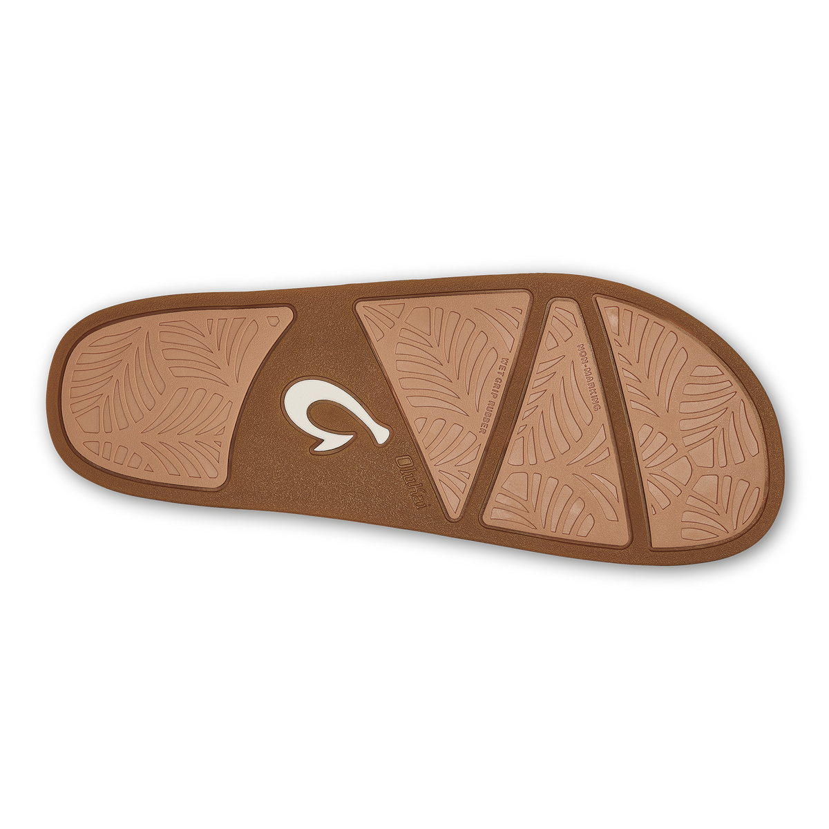 Sahara